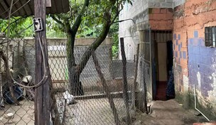 Así es la fundación de donde un niño se fugó y otros 13 fueron rescatados por presunto maltrato