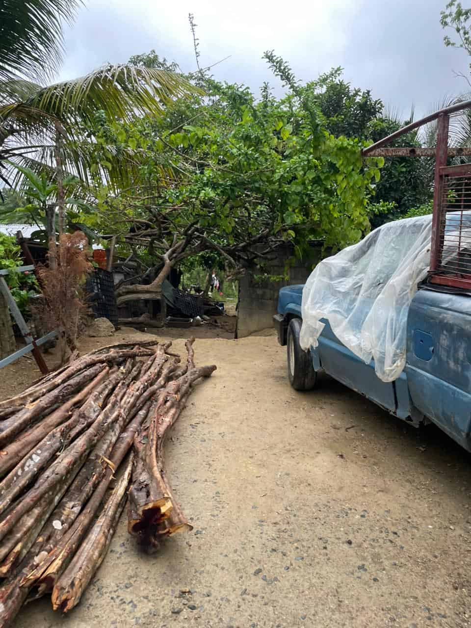 Madera para trabajar.