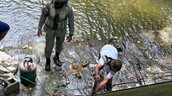 Desmantelan represa irregular en el río Yabija y restablecen el curso del agua