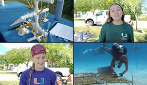 Científicos de Florida buscan corales resistentes al calor ante el cambio climático