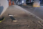Matan hombre de un disparo para robarle motocicleta en la autopista Duarte
