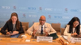Ser competitivas, la mayor preocupación de las mipymes en el Caribe, incluida RD