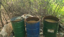 Decomisan más de 10,000 litros de bebidas alcohólicas adulteradas en Azua