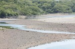 El Niño se intensificará hasta alcanzar su máximo en diciembre, alerta la ONU El Niño se intensificará hasta alcanzar su máximo en diciembre, alerta la ONU
