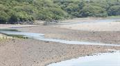 Evento extremo de El Niño causaría pérdida de al menos 2 % del PIB regional, según Cepal