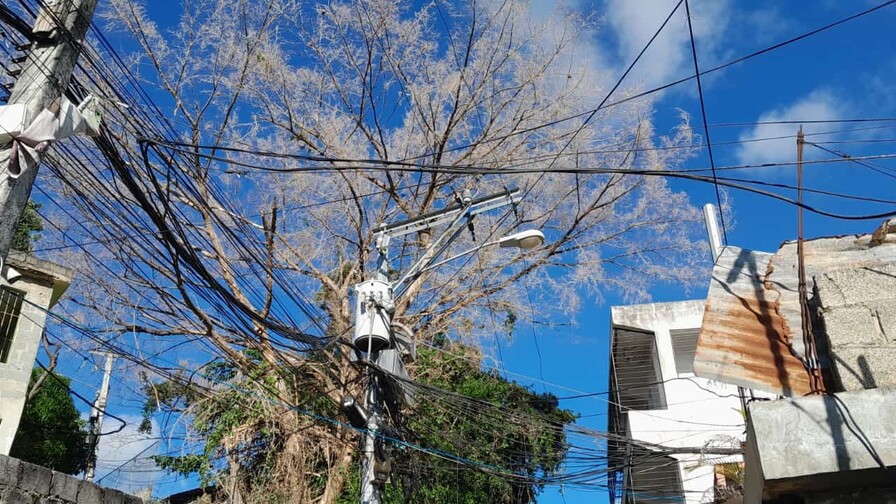 Vecinos del barrio La Joya temen caída de árbol sobre cables de alta tensión