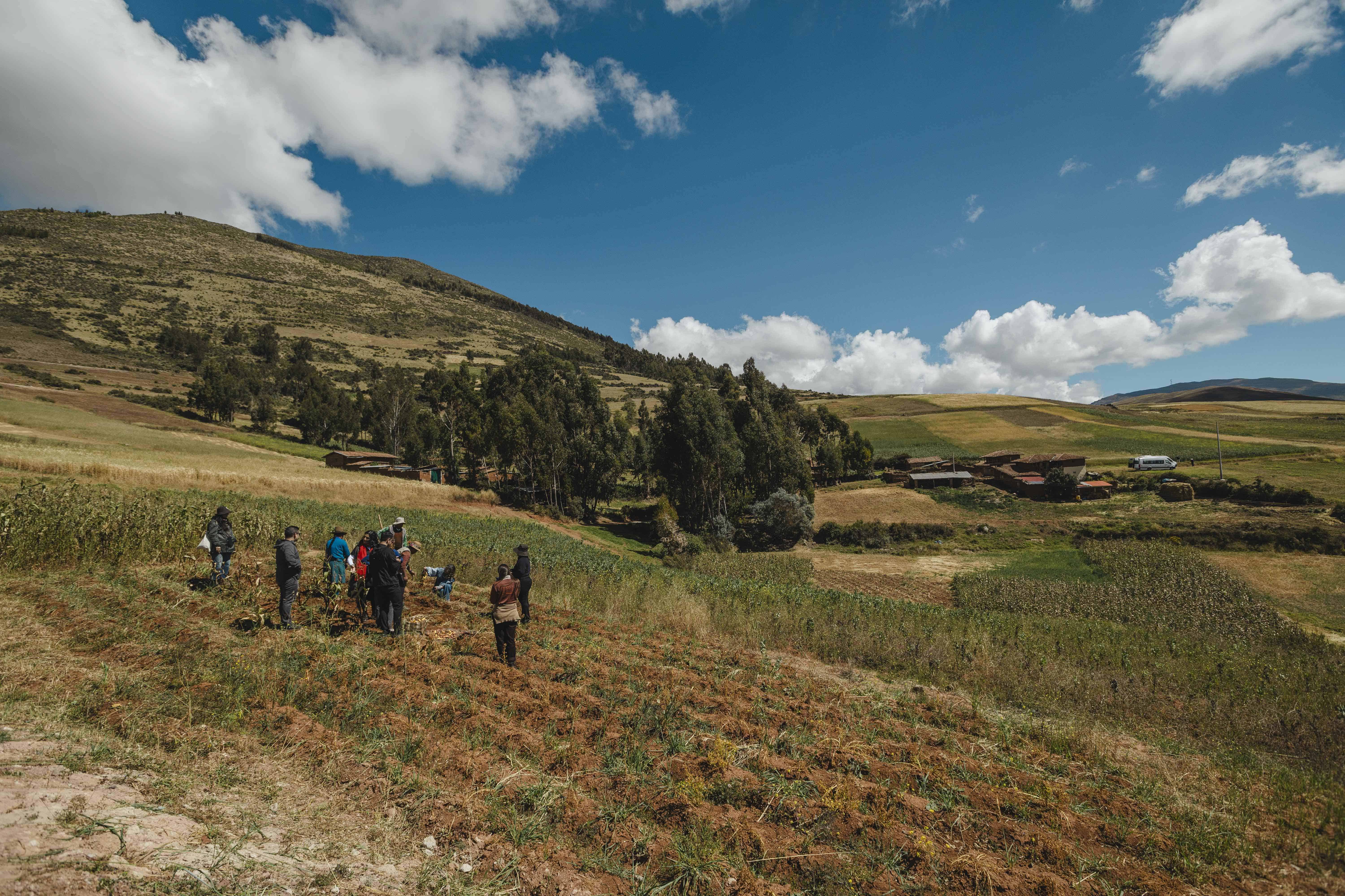 La cocina de Kjolle está profundamente conectada con los productos y ecosistemas del Perú.
