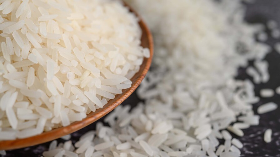 La salvaguarda frente al DR-Cafta se acabó: ¿en qué posición está el arroz dominicano ahora?