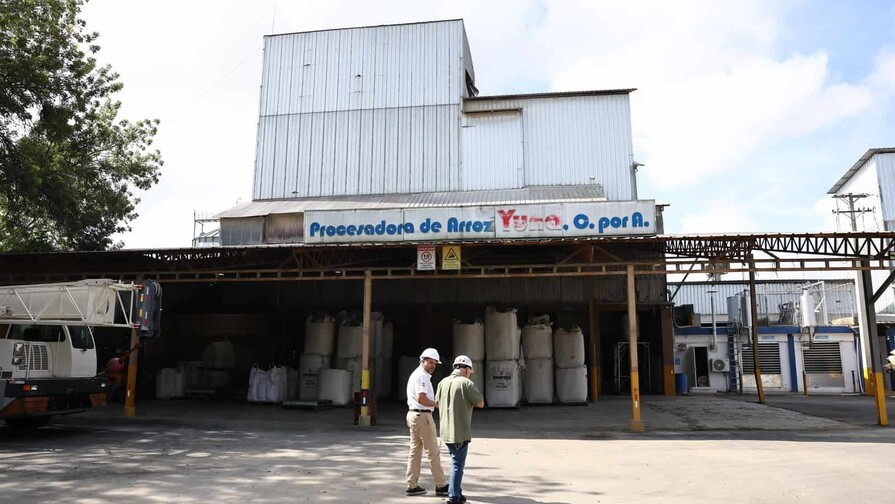 Arroz dominicano: la productividad como defensa