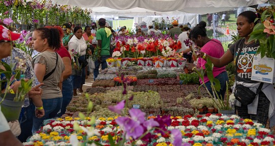 Desde Nagua hasta Nueva York: visitantes viajan para disfrutar del Festival de Plantas y Flores