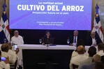 Gobierno promete medidas, pero productores siguen preocupados por presión del arroz estadounidense