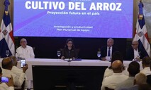 Gobierno promete medidas, pero productores siguen preocupados por presión del arroz estadounidense