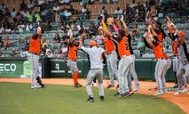 LIDOM: Posiciones y resultados de la pelota invernal dominicana día al día