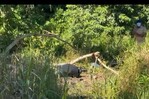 Encuentran cadáver en Nagua; presumen corresponde a joven desaparecido hace 16 días Encuentran cadáver en Nagua; presumen corresponde a joven desaparecido hace 16 días
