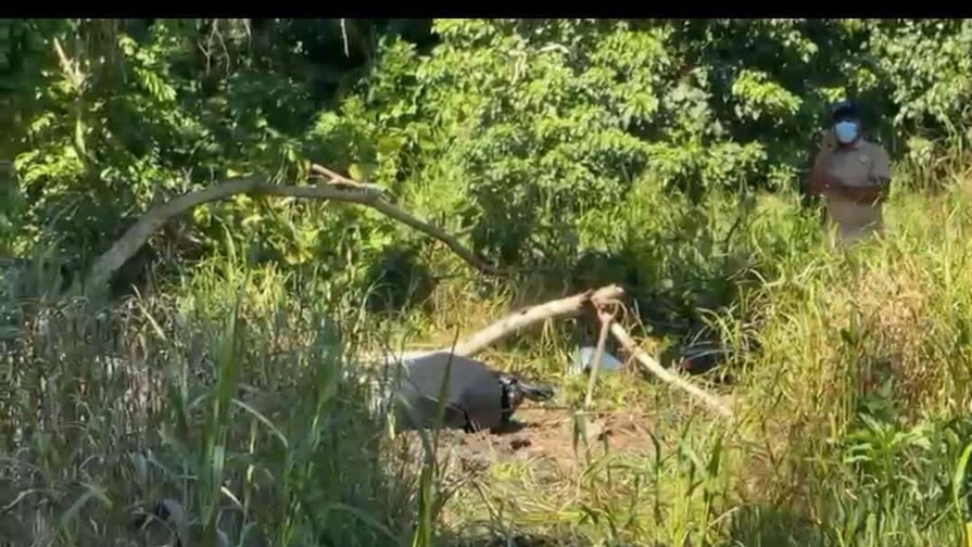 Encuentran cadáver en Nagua; presumen corresponde a joven desaparecido hace 16 días