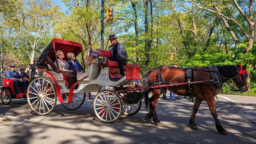 Nueva York aprueba la ley que prohibirá los carruajes tirados por caballos en junio 2028