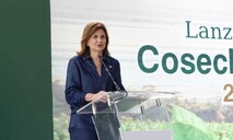 Gobierno reitera mantiene diálogo con EE. UU. sobre el arroz en el DR-Cafta