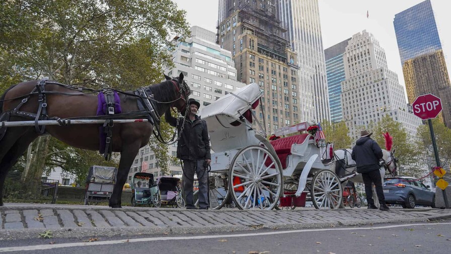 Los carruajes de Central Park: 150 años de historia que llegan a su fin en Nueva York Los carruajes de Central Park: 150 años de historia que llegan a su fin en Nueva York