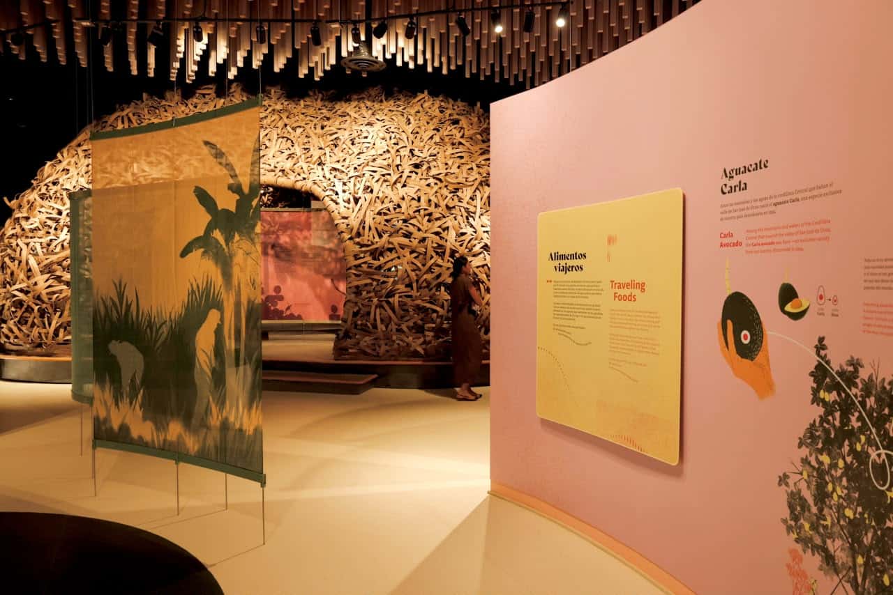 “Un nido para el mundo” en el Centro Cultural Rainieri.