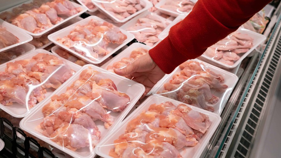 Las importaciones de pollo aumentan 45 % a septiembre, ante una mayor oferta en Estados Unidos