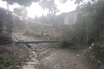 Lluvias provocan aislamiento de comunidades y pérdidas en la agricultura de Tireo Lluvias provocan aislamiento de comunidades y pérdidas en la agricultura de Tireo