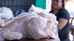 La libra de pollo se vende entre RD$70 y RD$85 en mercados y carnicerías del Gran Santo Domingo