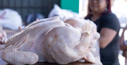La libra de pollo se vende entre RD$70 y RD$85 en mercados y carnicerías del Gran Santo Domingo
