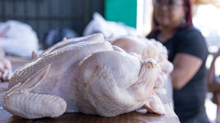 La libra de pollo se vende entre RD$70 y RD$85 en mercados y carnicerías del Gran Santo Domingo La libra de pollo se vende entre RD$70 y RD$85 en mercados y carnicerías del Gran Santo Domingo