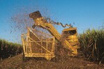 La mecanización agrícola avanza ante el encarecimiento de la mano de obra en el país