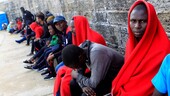 Más de 1,300 migrantes murieron intentando llegar a España en los últimos 5 meses