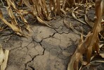 La sequía deja a Puerto Rico contando cada gota La sequía deja a Puerto Rico contando cada gota