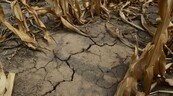 La sequía deja a Puerto Rico contando cada gota