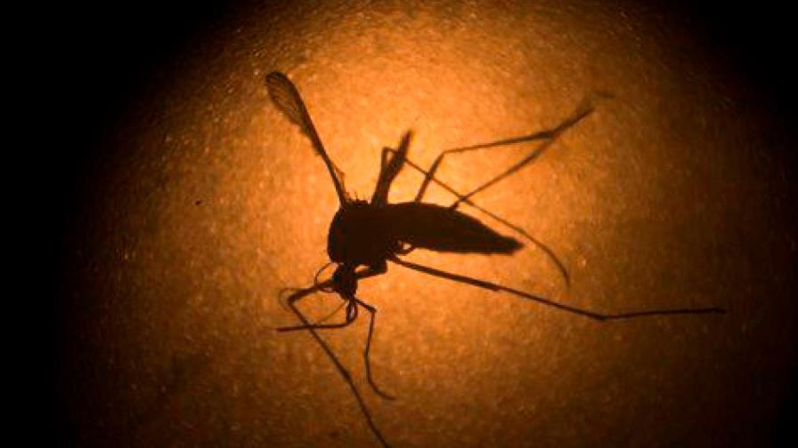 El virus del Nilo Occidental adelanta su temporada en EE. UU. con un récord de 48 casos