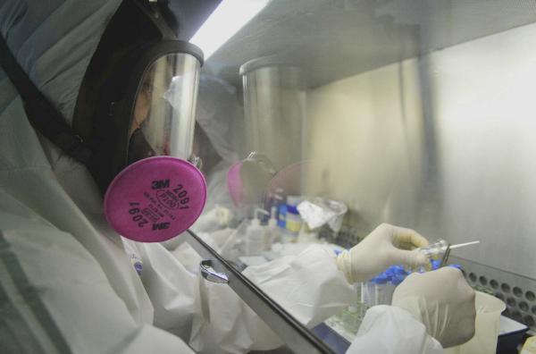 La gripe estacional H1N1 podría ser descendiente de la cepa pandémica de 1918 La gripe estacional H1N1 podría ser descendiente de la cepa pandémica de 1918
