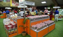 Inicia este jueves la Feria Agropecuaria 2026 con exhibiciones, subastas y venta de alimentos