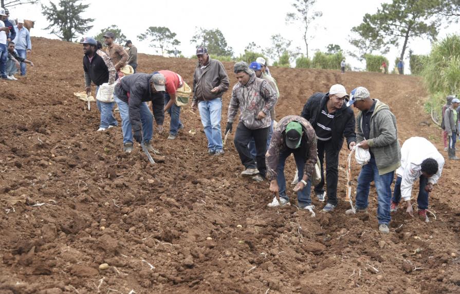 Agricultores desalojados de Valle Nuevo marchan en Constanza La Vega Agricultores desalojados de Valle Nuevo marchan en Constanza La Vega